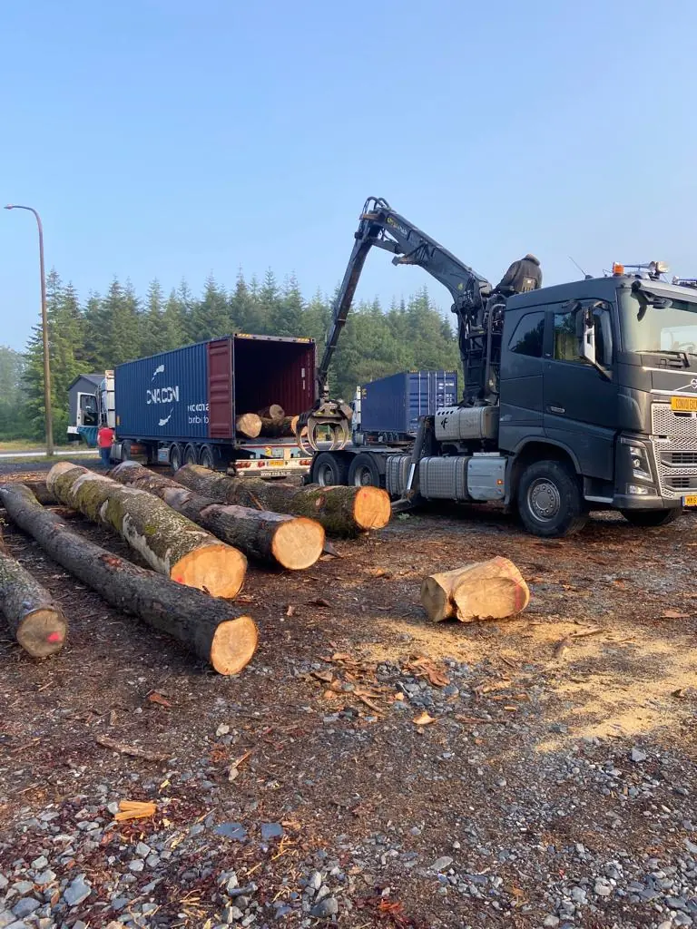 Grumes de bois soulevées et placées sur un camion à l'aide d'une grue pour le transport par PéSim.